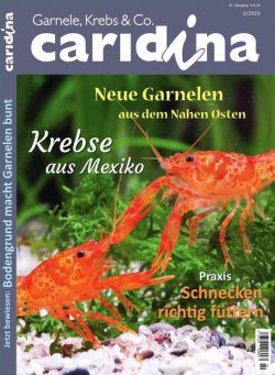 Caridina – Nr.2 2020