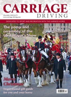 Carriage Driving – December 2018