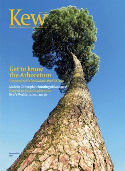 Kew Magazine – Summer 2008