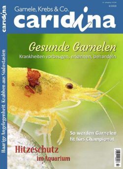 Caridina – Nr.3 2020