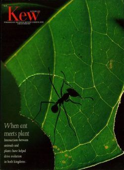 Kew Magazine – Autumn 1995