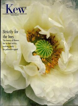 Kew Magazine – Summer 1993