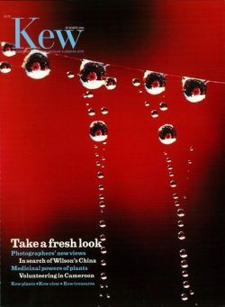 Kew Magazine – Summer 2004