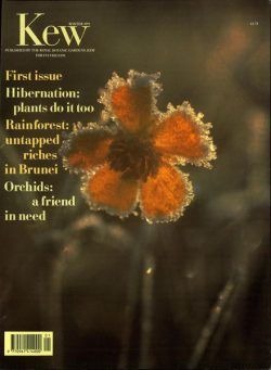 Kew Magazine – Winter 1991