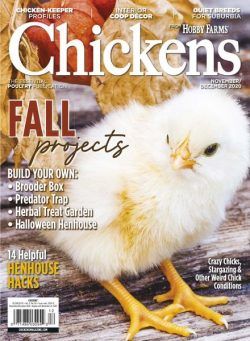 Chickens – November-December 2020