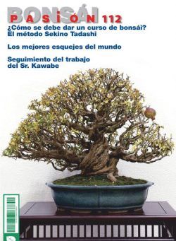 Bonsai Pasion – octubre 2020