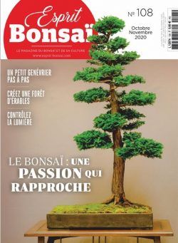 Esprit Bonsai – octobre 2020