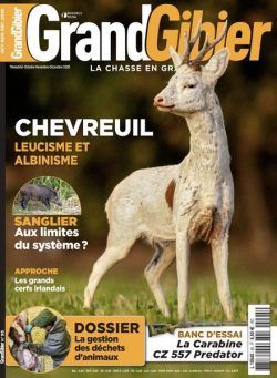 Grand Gibier – Octobre-Decembre 2020