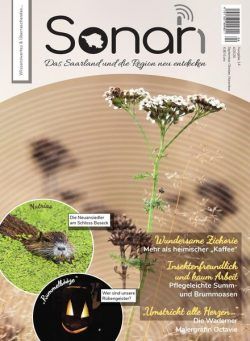 Sonah – September-November 2020