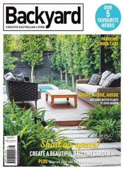 Backyard – November 2020