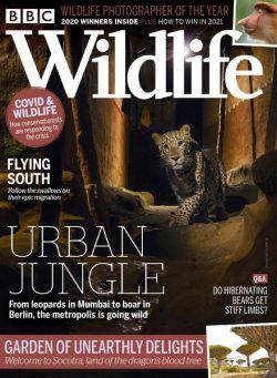 BBC Wildlife – November 2020