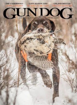 Gun Dog – December 2020