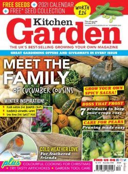 Kitchen Garden – December 2020