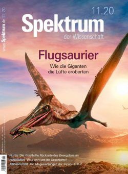 Spektrum der Wissenschaft – November 2020