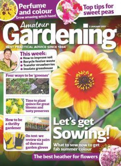 Amateur Gardening – 02 January 2021