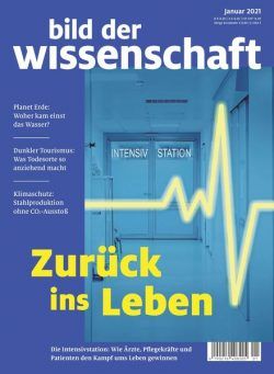 Bild der Wissenschaft – Januar 2021