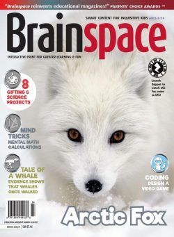 Brainspace – Winter 2020-2021