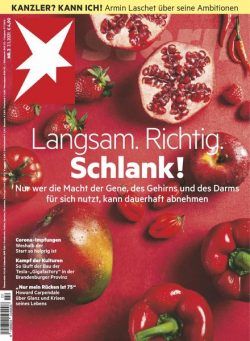 Der Stern – 07 Januar 2021