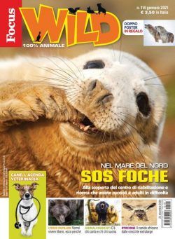 Focus Wild – febbraio 2021