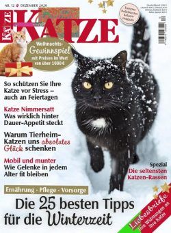 Geliebte Katze – Dezember 2020