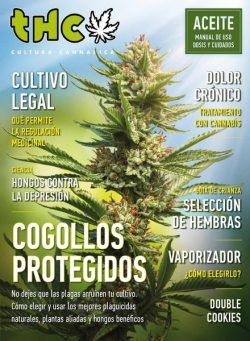 Revista THC – noviembre 2020