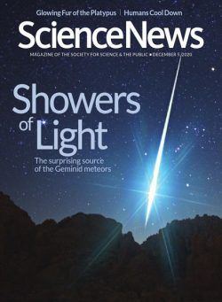 Science News – 5 December 2020