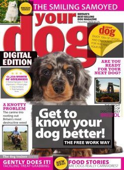 Your Dog – November 2020