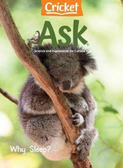 Ask – January 2021