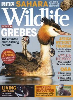 BBC Wildlife – March 2021