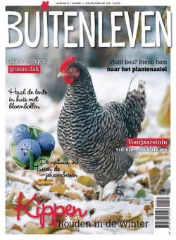 Buitenleven – december 2020