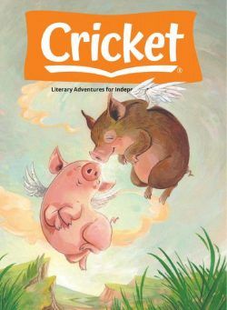 Cricket – February 2021