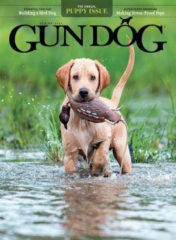 Gun Dog – April 2021