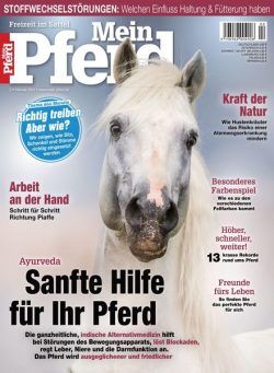 Mein Pferd – 12 Januar 2021