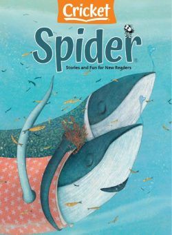 Spider – February 2021