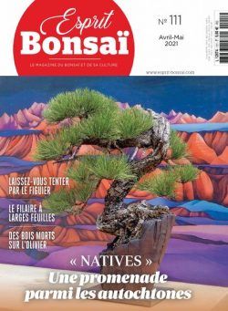 Esprit Bonsai – avril 2021