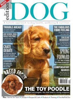 Edition Dog – Issue 29 – 25 February 2021