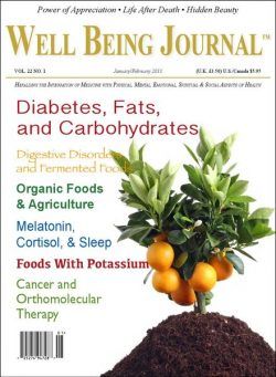 Well Being Journal – January-February 2013