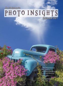 Photo Insights – September 2021