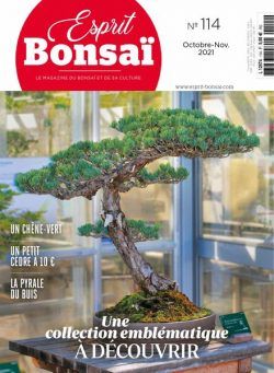 Esprit Bonsai – octobre 2021