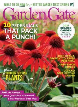 Garden Gate – November 2021