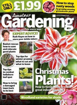 Amateur Gardening – 20 November 2021