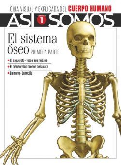 Asi Somos – El cuerpo humano – marzo 2021