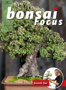 Bonsai Focus (Italian Edition) – N 81 – Maggio-Giugno 2019