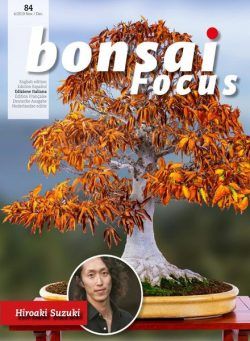 Bonsai Focus (Italian Edition) – N 84 – Novembre-Dicembre 2019