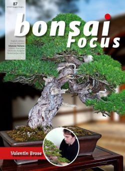 Bonsai Focus (Italian Edition) N 87 – Maggio-Giugno 2020