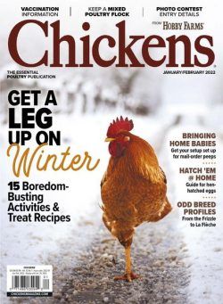 Chickens – January-February 2022