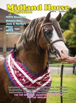 Midland Horse West Midlands – November 2021