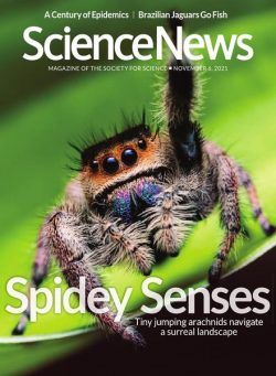 Science News – 6 November 2021