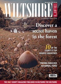 Wiltshire Life – November 2021