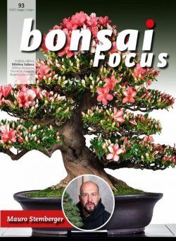 Bonsai Focus (Edizione Italiana) – Maggio-Giugno 2021